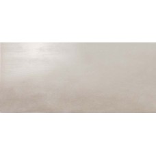 Плитка 50*110 Dwell Silver